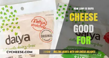 Daiya Cheese Shelf Life: How Long Does It Stay Fresh?