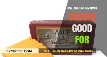 Deli American Cheese Shelf Life: How Long Does It Last?