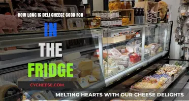 Deli Cheese Shelf Life: How Long Does It Last in the Fridge?