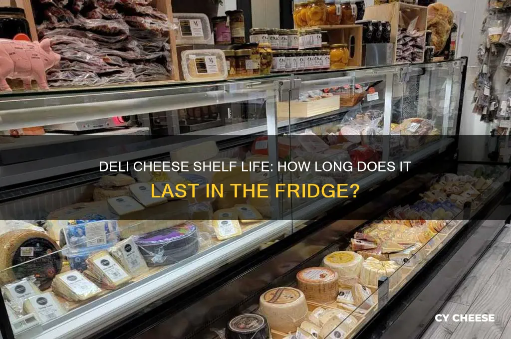 how long is deli cheese good for in the fridge