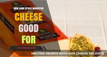 Deli Munster Cheese Shelf Life: How Long Does It Last?