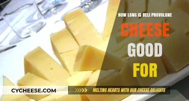 Deli Provolone Cheese Shelf Life: How Long Does It Last?