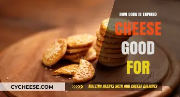 Expired Cheese: How Long Is It Safe to Eat After the Date?