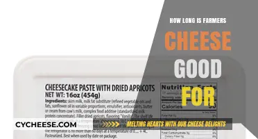 Farmers Cheese Shelf Life: How Long Does It Stay Fresh?