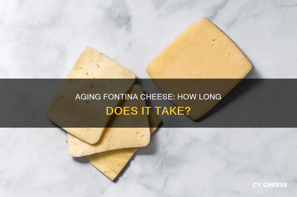 how long is fontina cheese aged