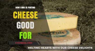 Fontina Cheese Shelf Life: How Long Does It Stay Fresh?