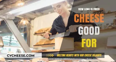 Fried Cheese Shelf Life: How Long Does It Stay Fresh?