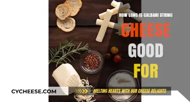 Galbani String Cheese Shelf Life: How Long Does It Last?