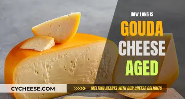 Aging Gouda: How Long to Wait for Perfection