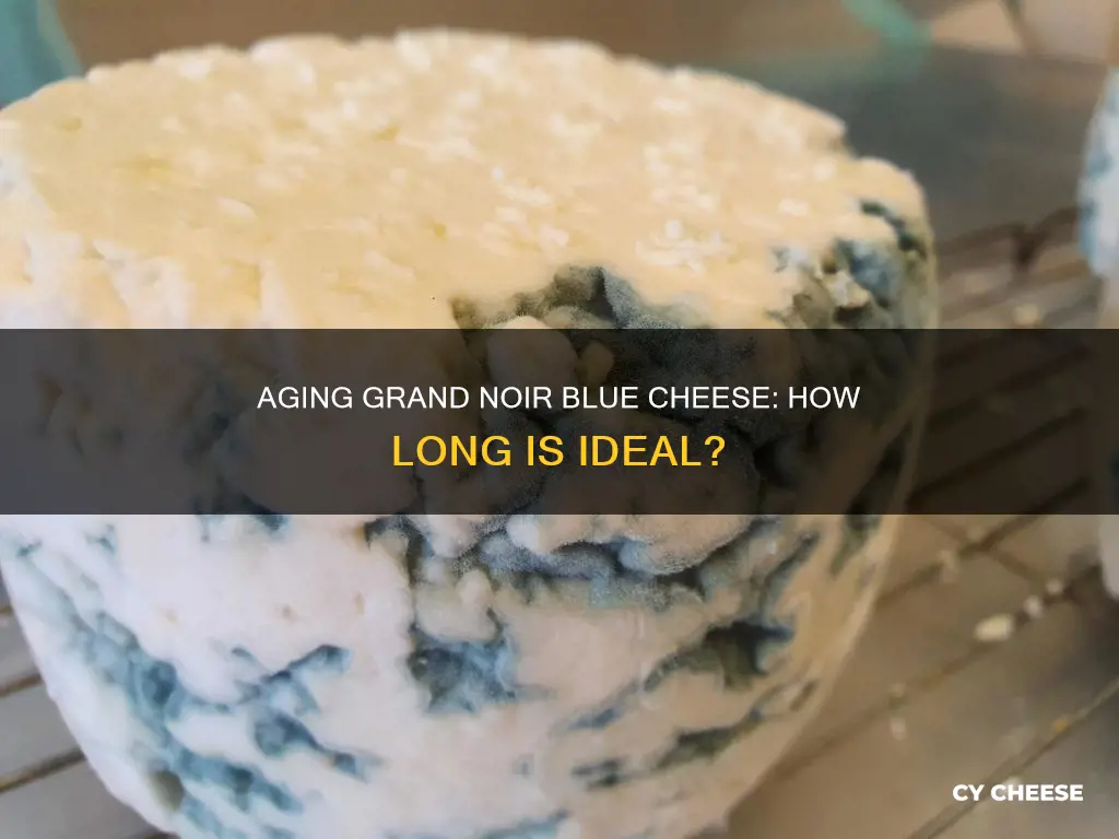 how long is grand noir blue cheese aged for