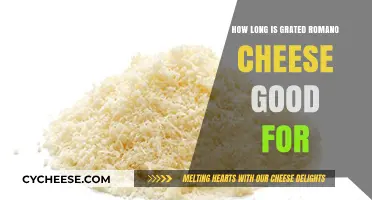 How Long Does Grated Romano Cheese Stay Fresh?