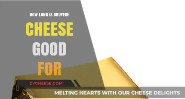 Gruyere Cheese Shelf Life: How Long Does It Stay Fresh?