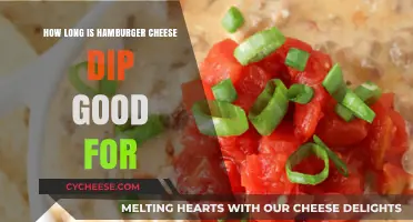 How Long Does Hamburger Cheese Dip Stay Fresh and Safe?