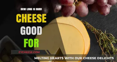 Hard Cheese Shelf Life: How Long Does It Stay Fresh?