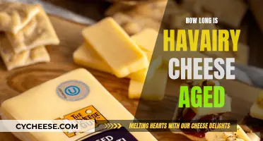 The Aging Process of Havarti Cheese: How Long is it Aged?