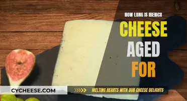 The Aging Process of Iberico Cheese: How Long Does It Take?