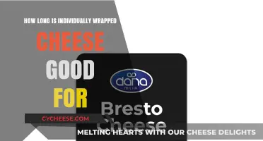 Individually Wrapped Cheese Shelf Life: How Long Does It Last?