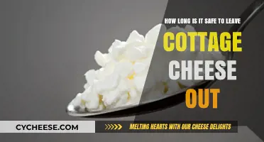 Safe Storage: How Long Can Cottage Cheese Sit Out?
