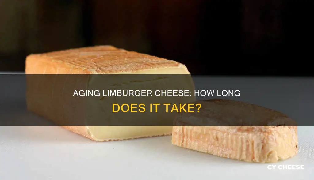 how long is limburger cheese aged