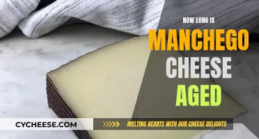 The Aging Process of Manchego Cheese Explained