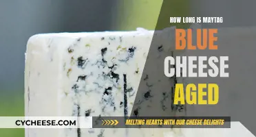 Aging Maytag Blue Cheese: How Long Does It Take?