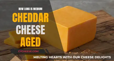 Aging Secrets: Medium Cheddar Cheese's Longevity