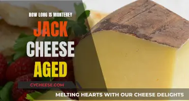 Aging Monterey Jack: How Long for the Perfect Flavor?