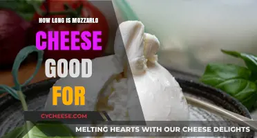 Mozzarella Cheese Shelf Life: How Long Does It Stay Fresh?