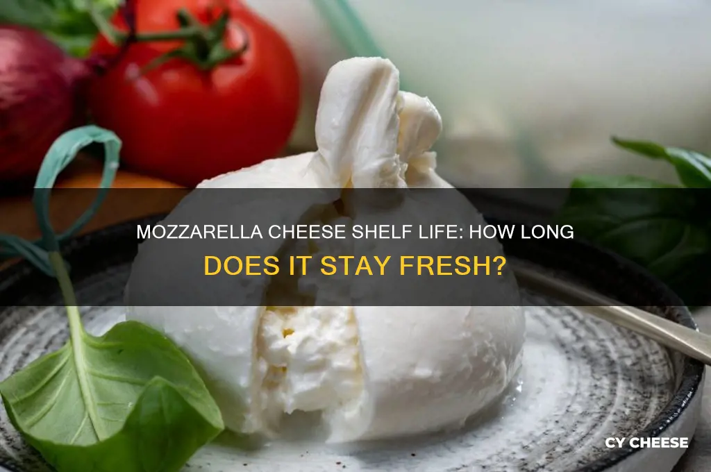 how long is mozzarlo cheese good for