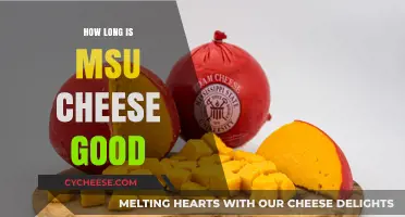 MSU Cheese Shelf Life: How Long Does It Stay Fresh?