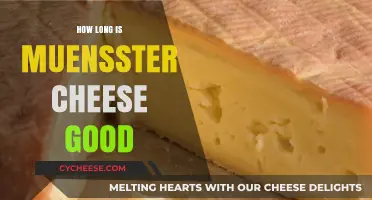 How Long Does Muenster Cheese Last? Shelf Life Explained