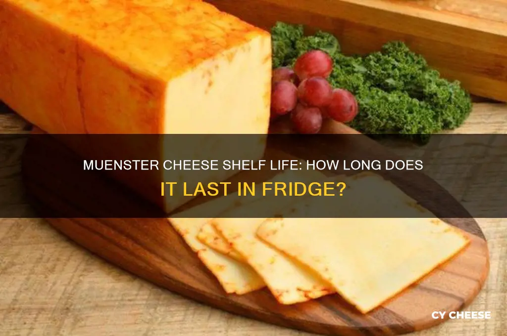 how long is muenster cheese good for in the fridge