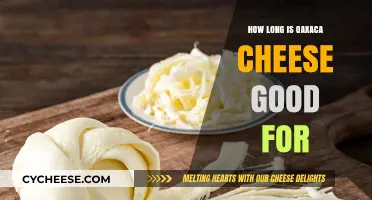 Oaxaca Cheese Shelf Life: How Long Does It Stay Fresh?