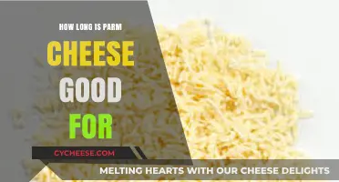 Parmesan Cheese Shelf Life: How Long Does It Stay Fresh?