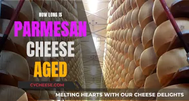 Parmesan Cheese: The Aging Process Explored