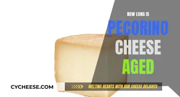 Aging Pecorino: How Long Does It Take?