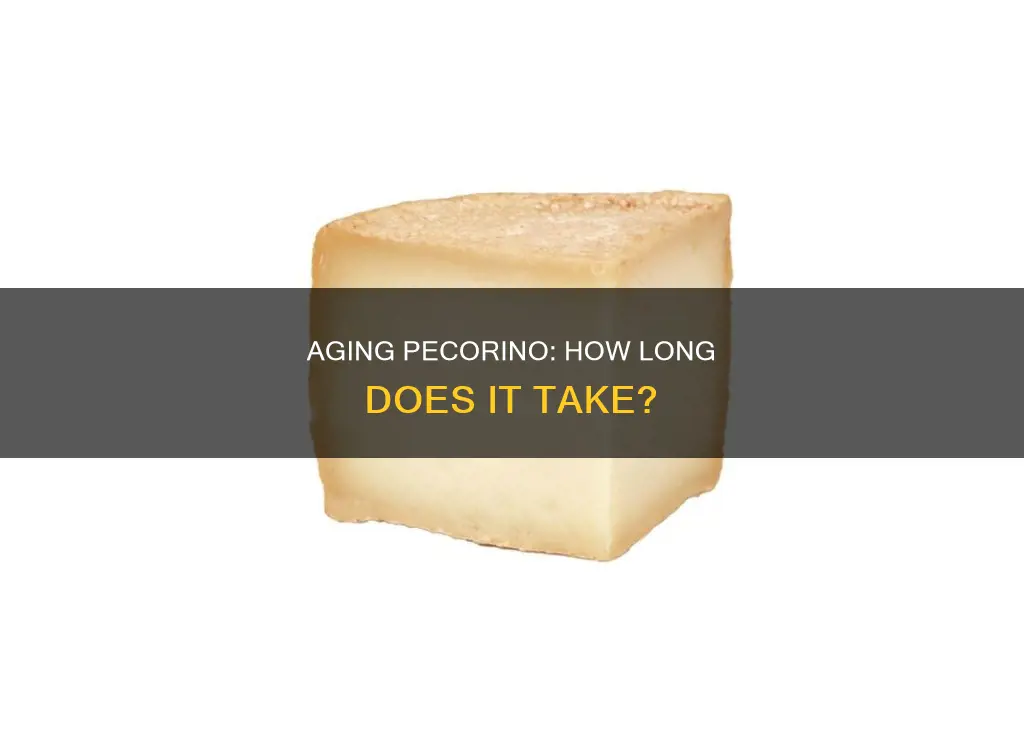 how long is pecorino cheese aged