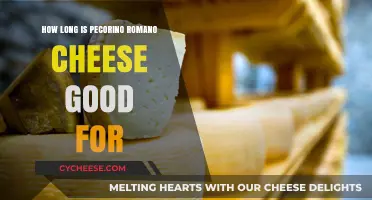 Pecorino Romano Cheese Shelf Life: How Long Does It Last?