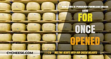 Opened Powdered Parmesan Cheese Shelf Life: How Long Does It Last?