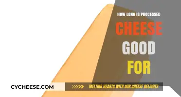 Processed Cheese Shelf Life: How Long Does It Stay Fresh?