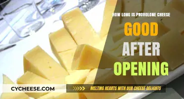 Provolone Cheese Shelf Life: How Long Does It Last After Opening?