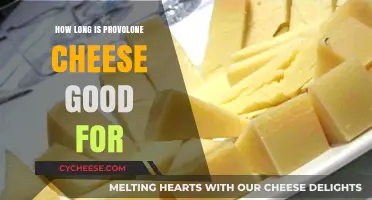 Provolone Cheese Shelf Life: How Long Does It Stay Fresh?