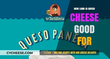 Queso Cheese Shelf Life: How Long Does It Stay Fresh?
