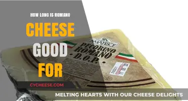Romano Cheese Shelf Life: How Long Does It Stay Fresh?
