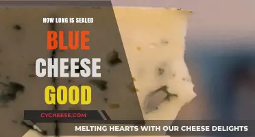Sealed Blue Cheese Shelf Life: How Long Does It Last?