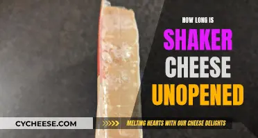 The Longevity of Shaker Cheese: Unopened Shelf Life Explored