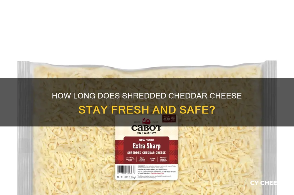 how long is shredded cheddar cheese good