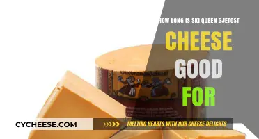 Ski Queen Gjetost Cheese Shelf Life: Storage Tips and Freshness Guide