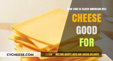 Sliced American Deli Cheese Shelf Life: How Long Does It Last?