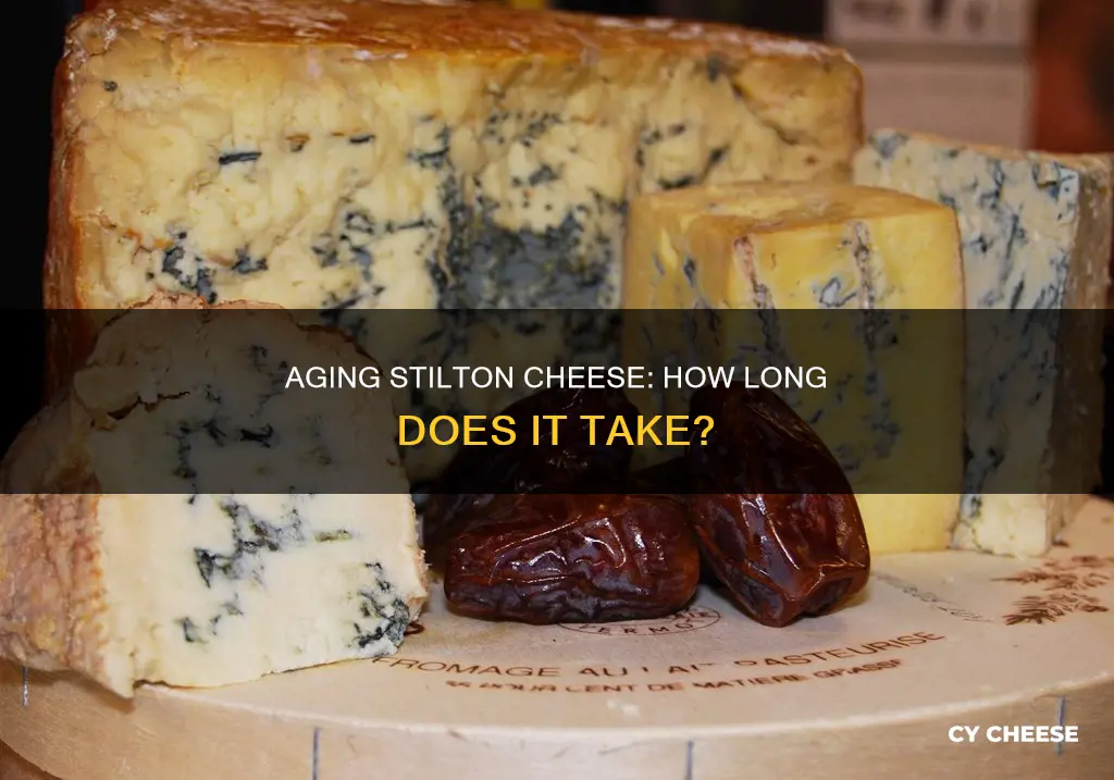 how long is stilton cheese aged